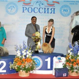 bosjbis1