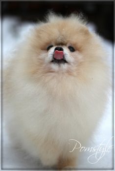 115